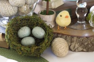 Nest and eggs Nest and eggs