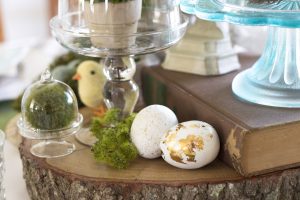 Wood slices, eggs, chick and moss Wood slices, eggs, chick and moss