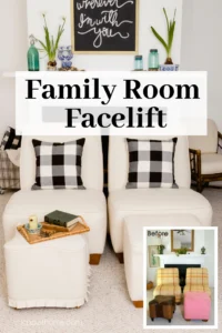 Family Room Facelift