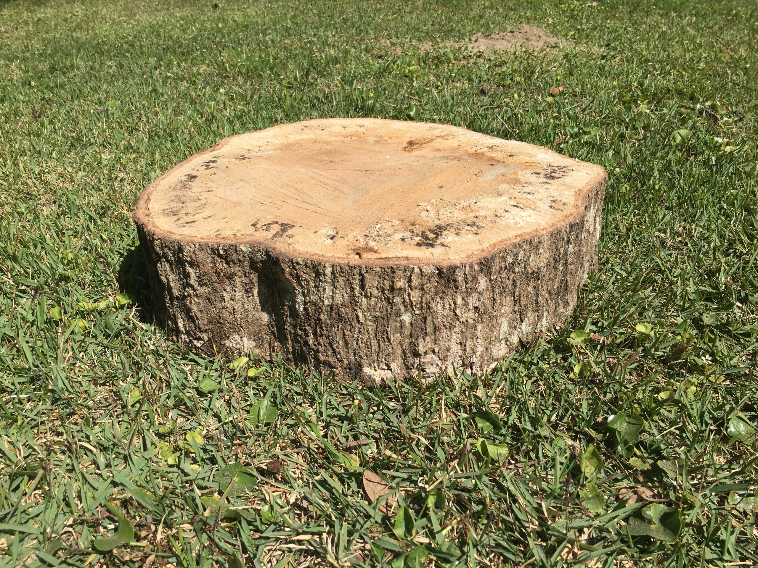 Easy DIY Live Edge Hairpin Leg Tables - Kippi at Home