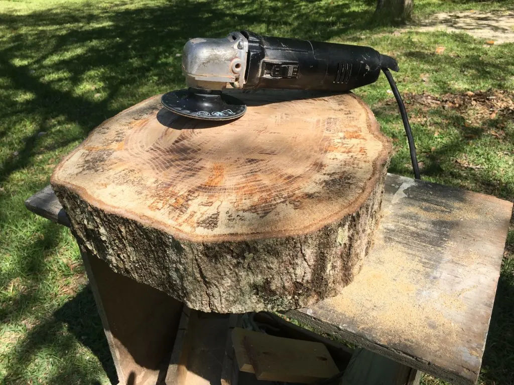 Live edge wood slice ready to finish, and use as table 