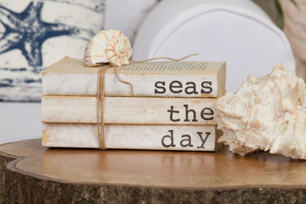 Seas the day books, Etsy ordered 