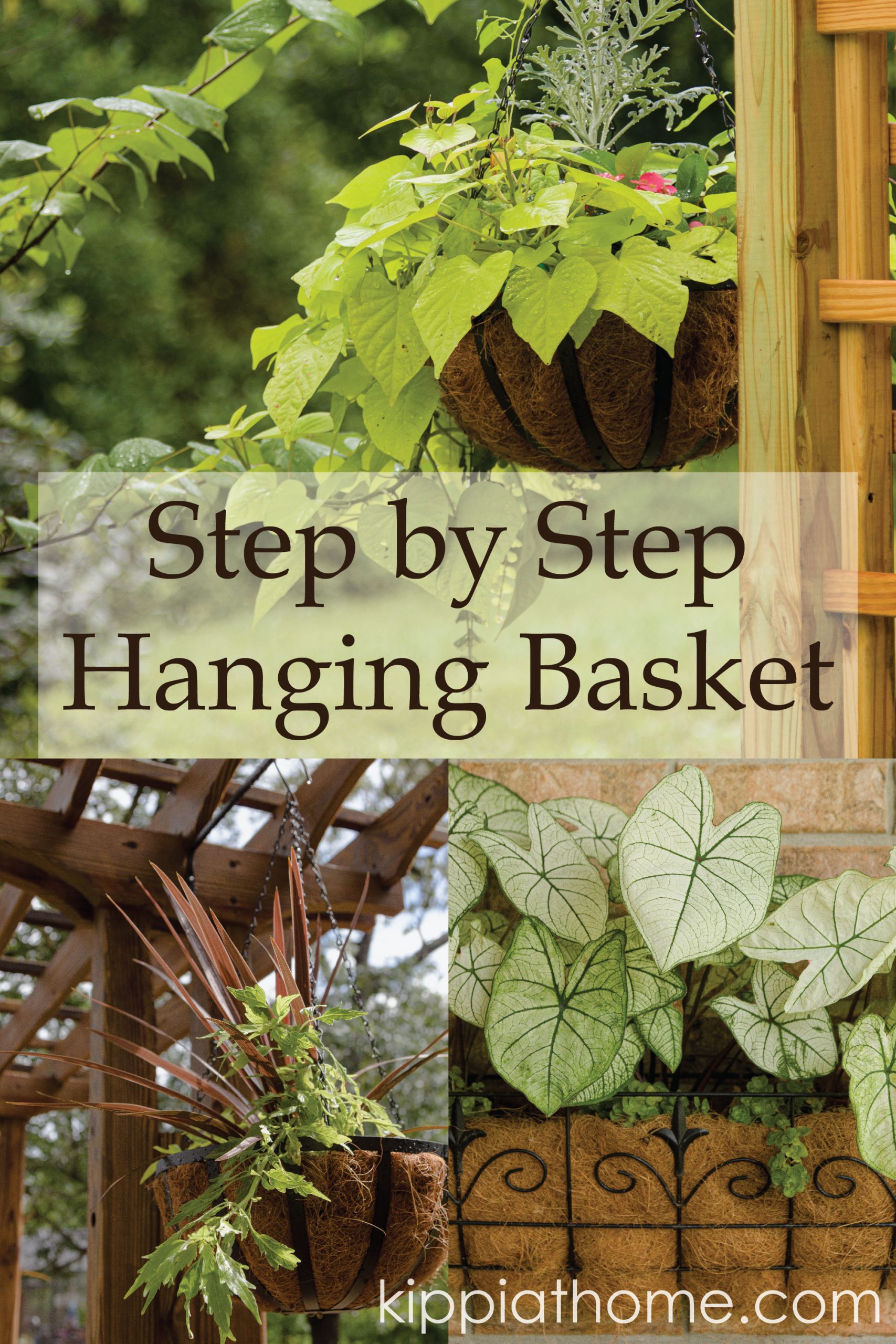 Hanging Basket Step by Step Guide, grab your copy today