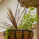 Hanging basket on trellis, instant flower garden