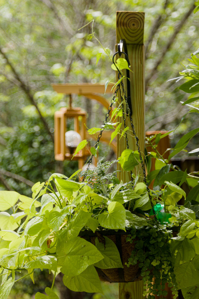 Hanging planter basket, easy step by step how to, yard beautification 