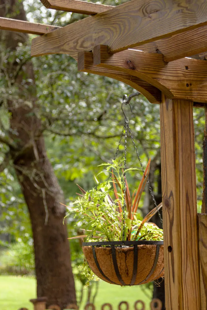 Old trellis made new with hanging baskets, easy hanging basket to create now