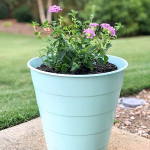 Melissa's Decorative Planters DIY, #2019gardentour