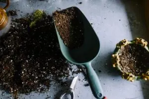 Paul's 14 Uses For Coffee Grounds in the Garden, easy gardening hacks