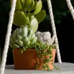 Boho chic hanging planter