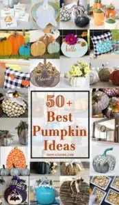 50 plus Pumpkin Ideas