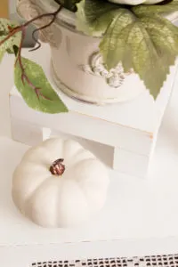 Display pedestal with plant and pumpkin