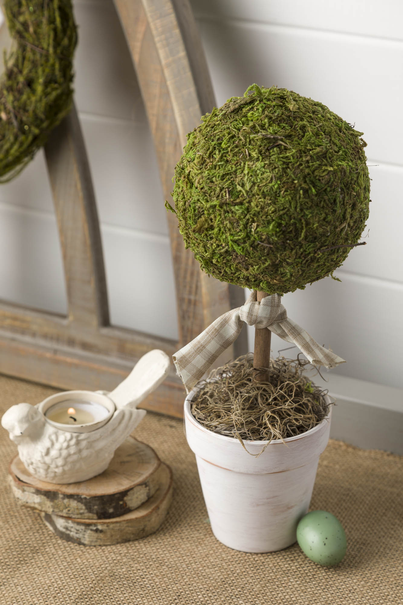 Moss topiary tree with ribbon tie