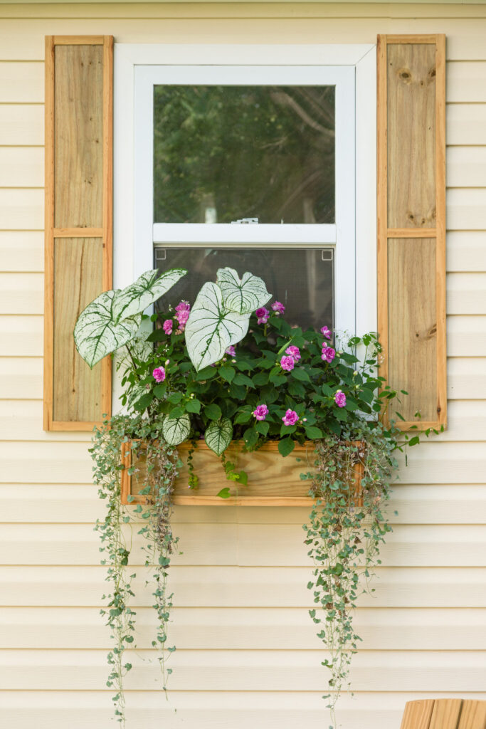 Window Flower Box filled with flowers and greenery 