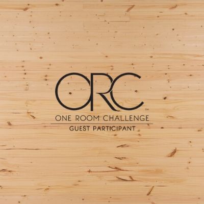 Shiplap accent wall ORC week 4