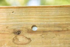 Drainage holes drilled into the bottom of the flower boxes