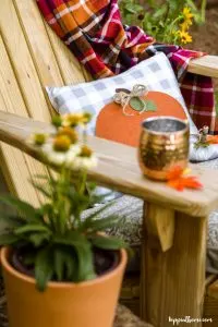 Chair with plant and pumpkin pillow Chair with plant and pumpkin pillow