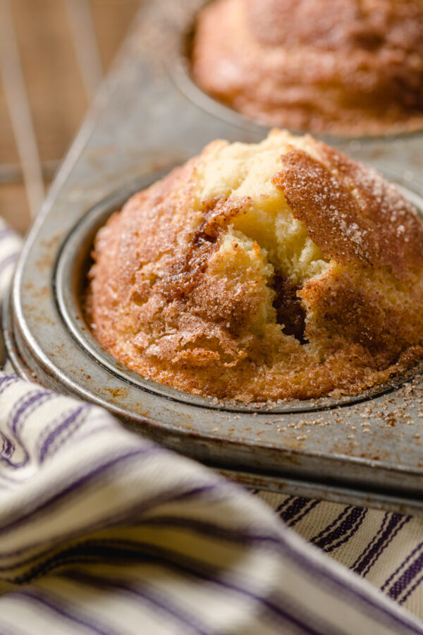 Cinnamon Muffins