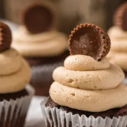 Chocolate cupcakes