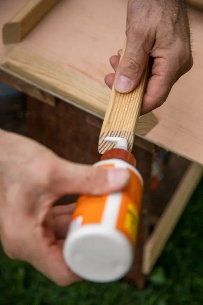 Apply wood glue corners of rung square