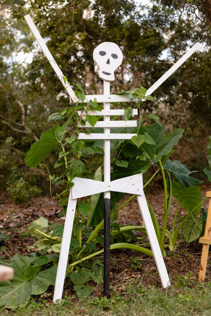 How to Make a Wooden Skeleton