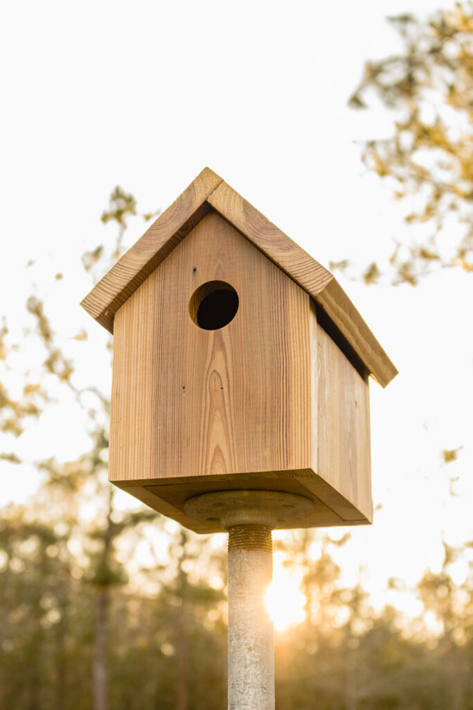 Wooden DIY Birdhouse on a metal pole outside