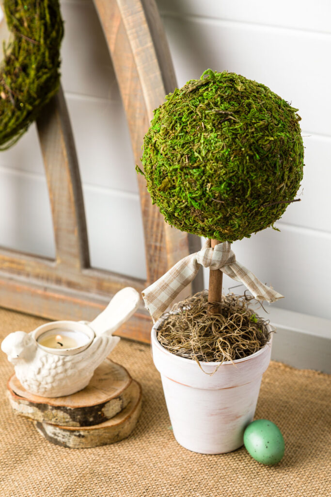 DIY Moss Ball Topiary