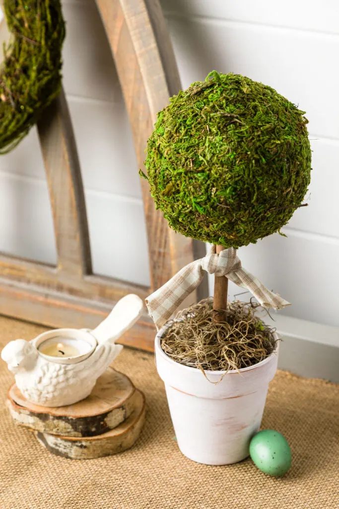 DIY Moss Ball Topiary