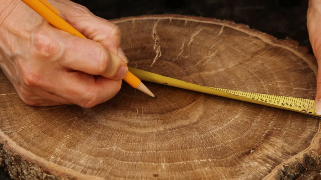 Marking the center of the wood slice