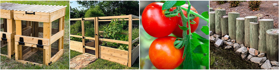 Growing tomatoes in a grow bag - Mud & Bloom