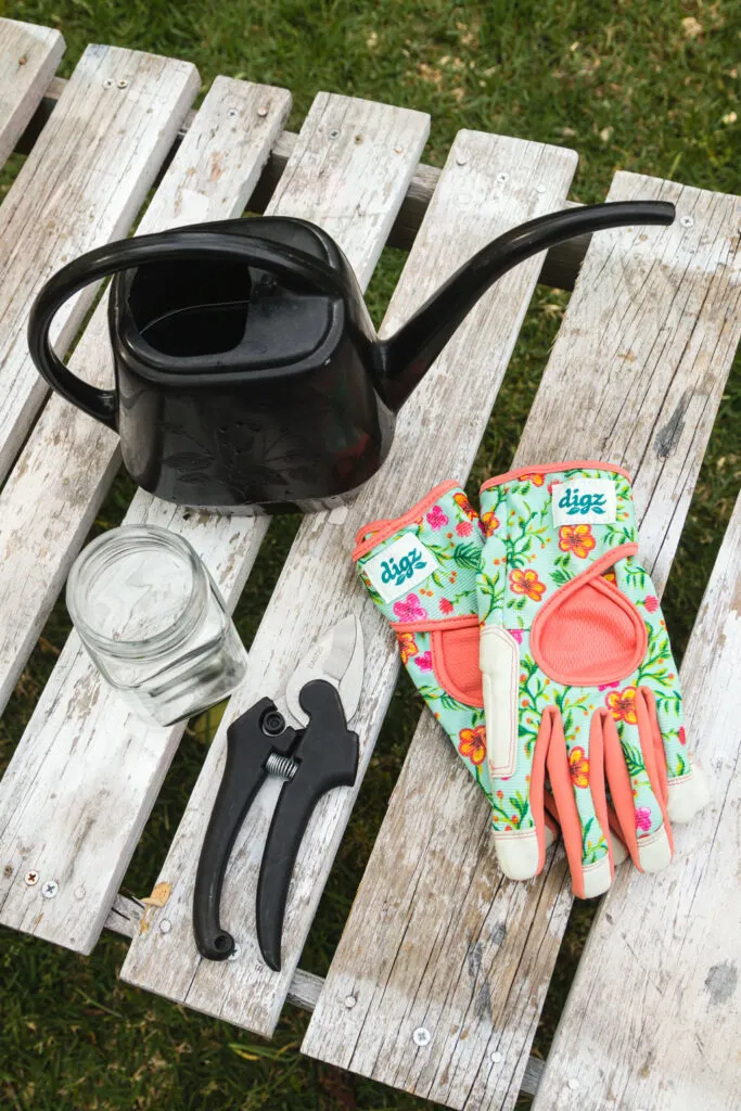 supplies, jar, water, gloves, garden snips
