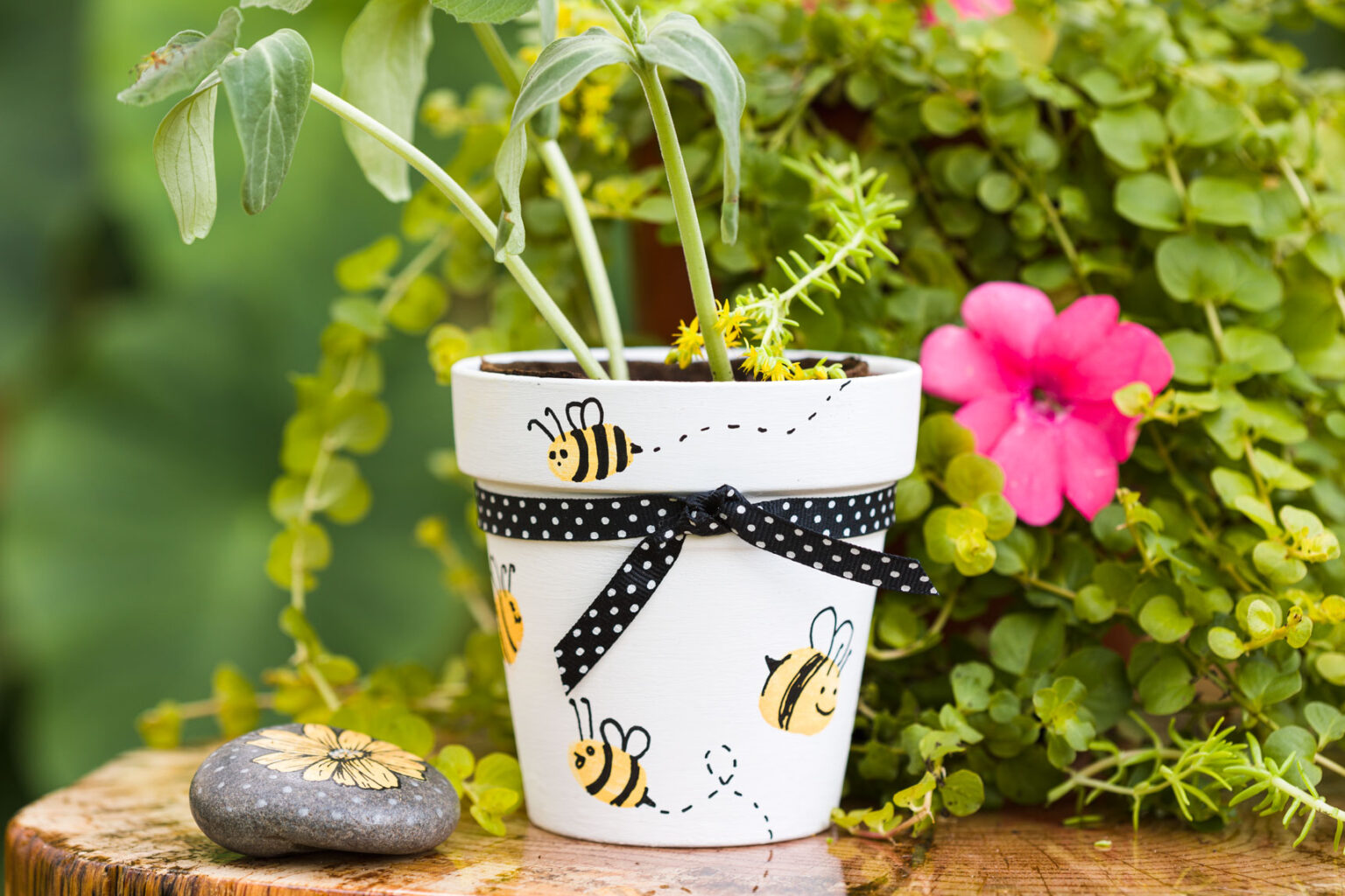 Sealing Terracotta Pots Kippi at Home