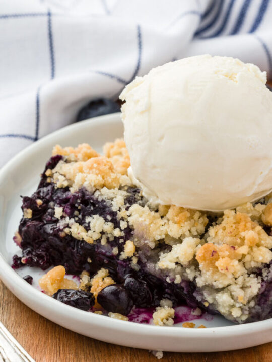 cropped-blueberry-crisp-2021-july-249.jpg