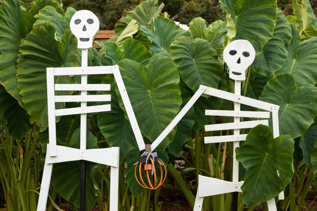 Handmade skeletons holding the DIY Halloween Lantern