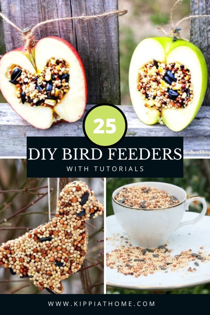 diy bird feeders pin collage with text