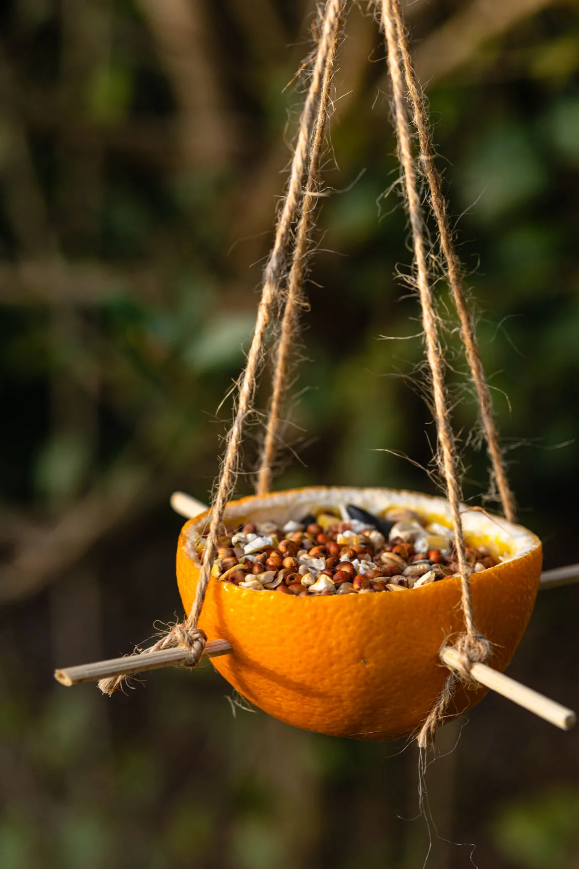 orange bird feeder with wooden skewers, twine and bird seed hung in a tree