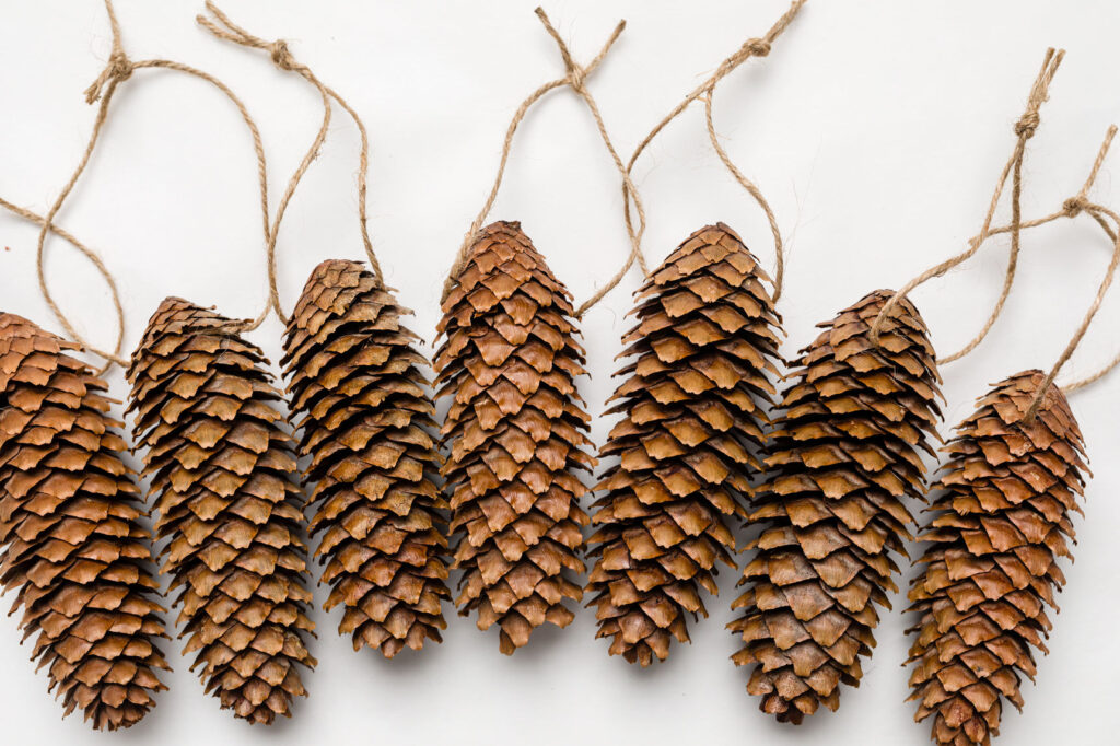 seven pine cones with the hanger strings attached sitting on a table 