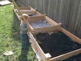 set of raised garden beds against fence