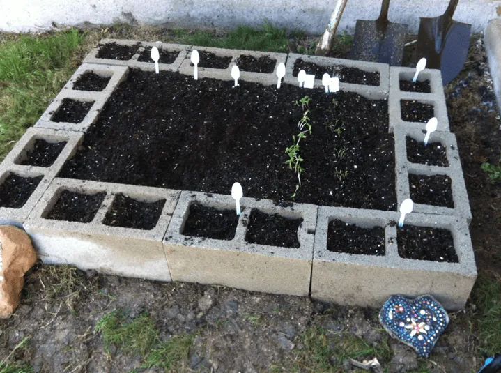 cinder block raised garden bed