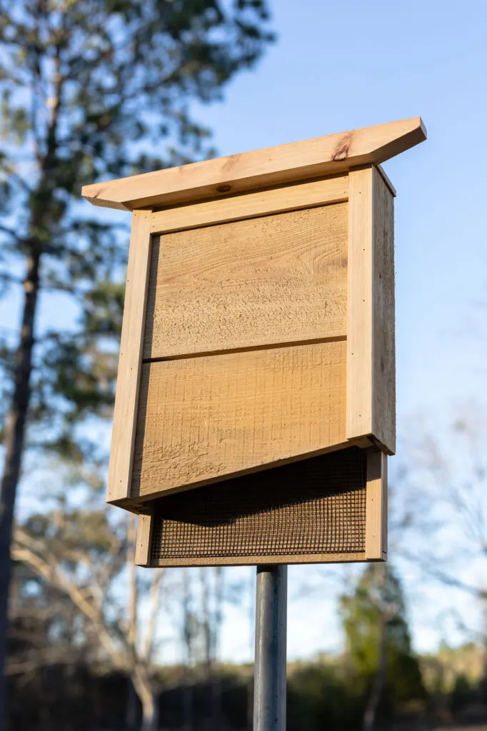Bat House Bat House on a pole in the yard. It was build from cypress lumber
