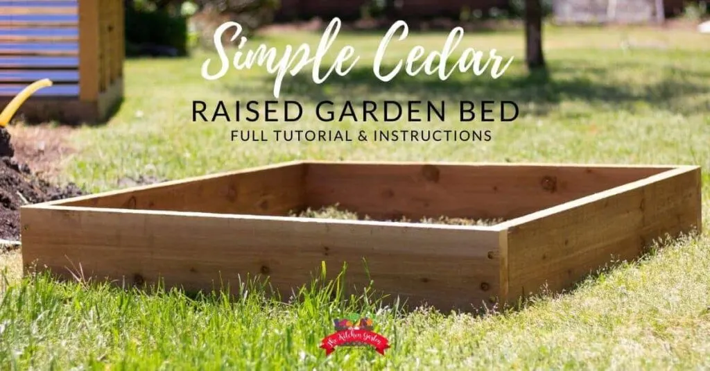 cedar raised garden bed in grass