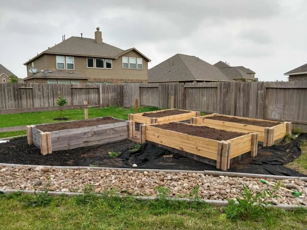 simple raised beds in a yard