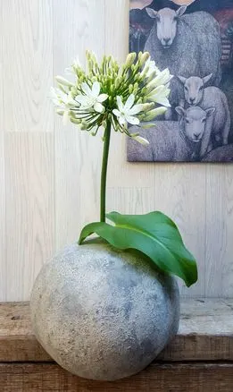 Gray round vase with a flower on a wood table
