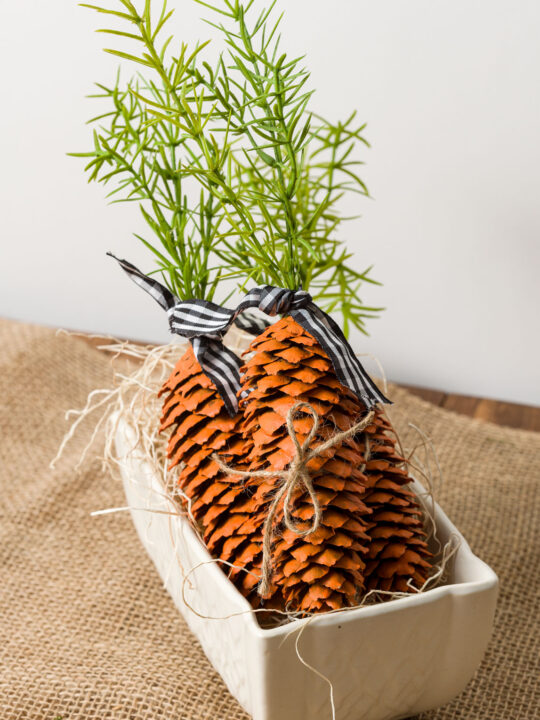 Pinecone Carrots with greenery tops tied together with twine in a flower pot