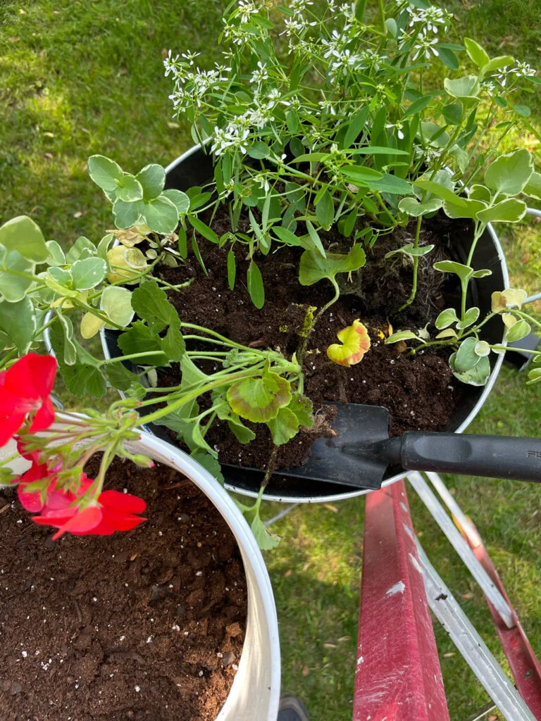 flower planter filled with flowers