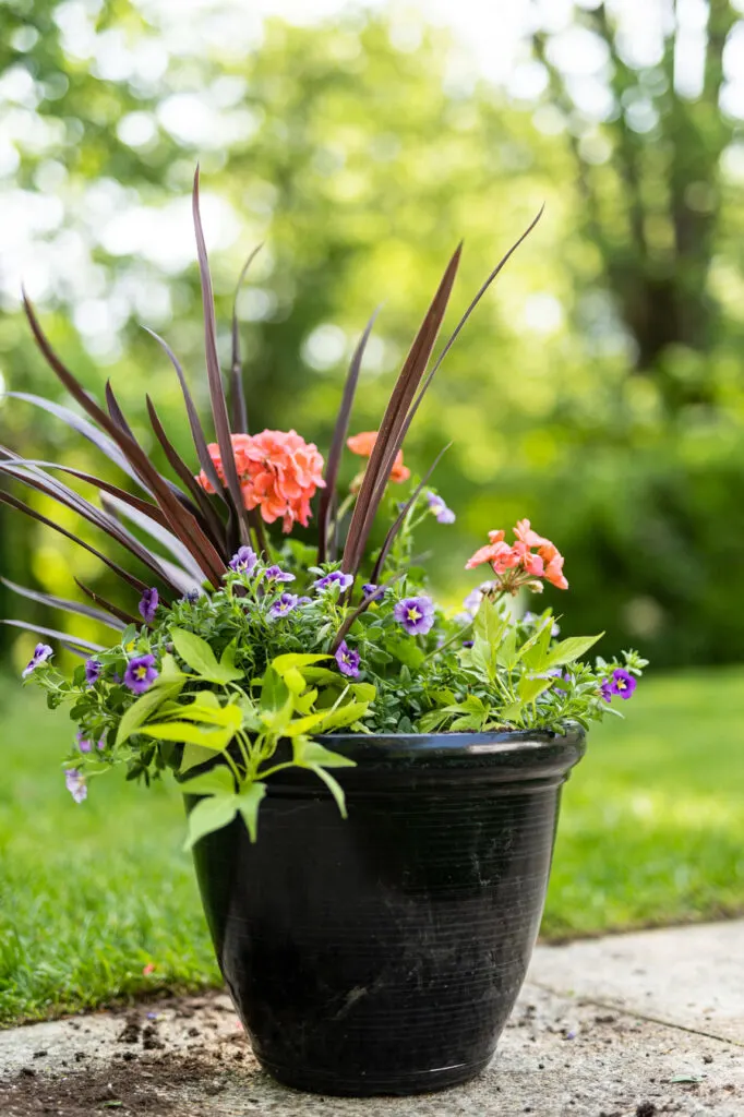 flower pot filled with flowers and greenery