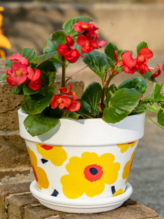 decorated flower pot with red flowers