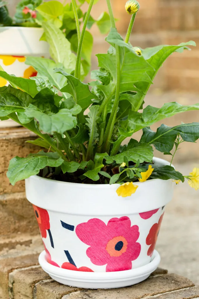 Decoupage napkin flower pots with flowers outside