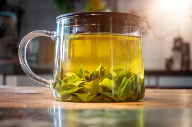 lemon verbena herb leaves in a pot with water