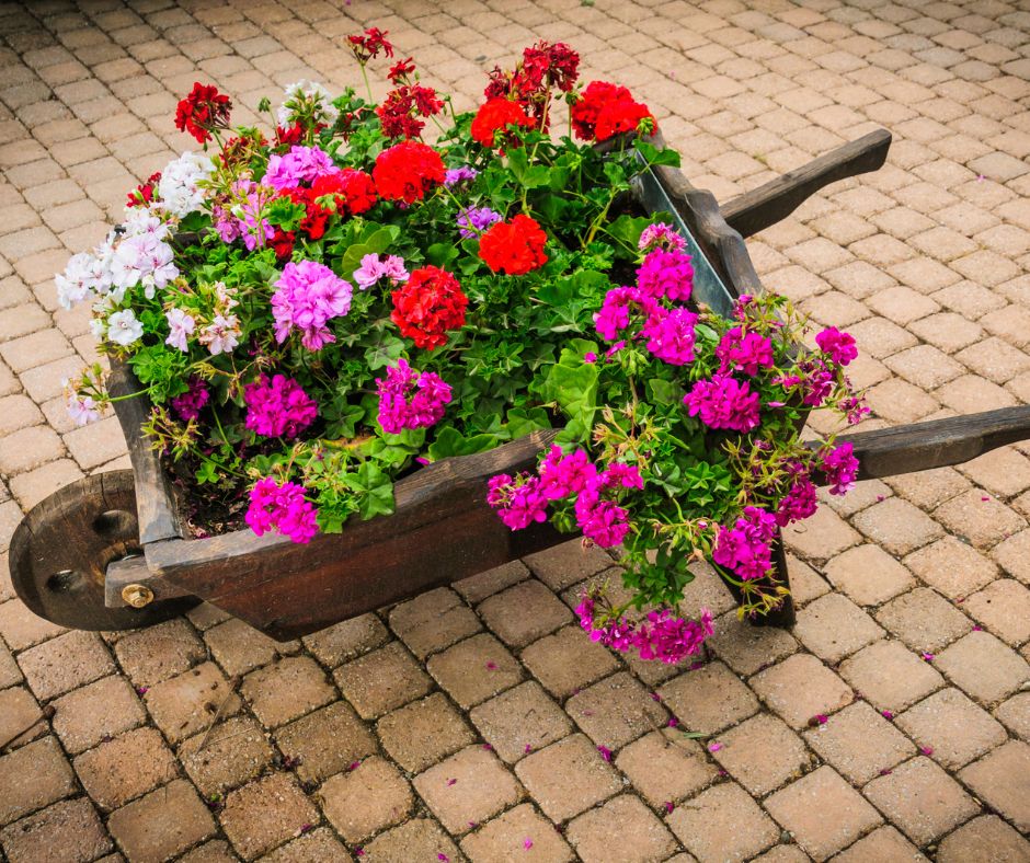 wooden wheelbarrow filled with flowers