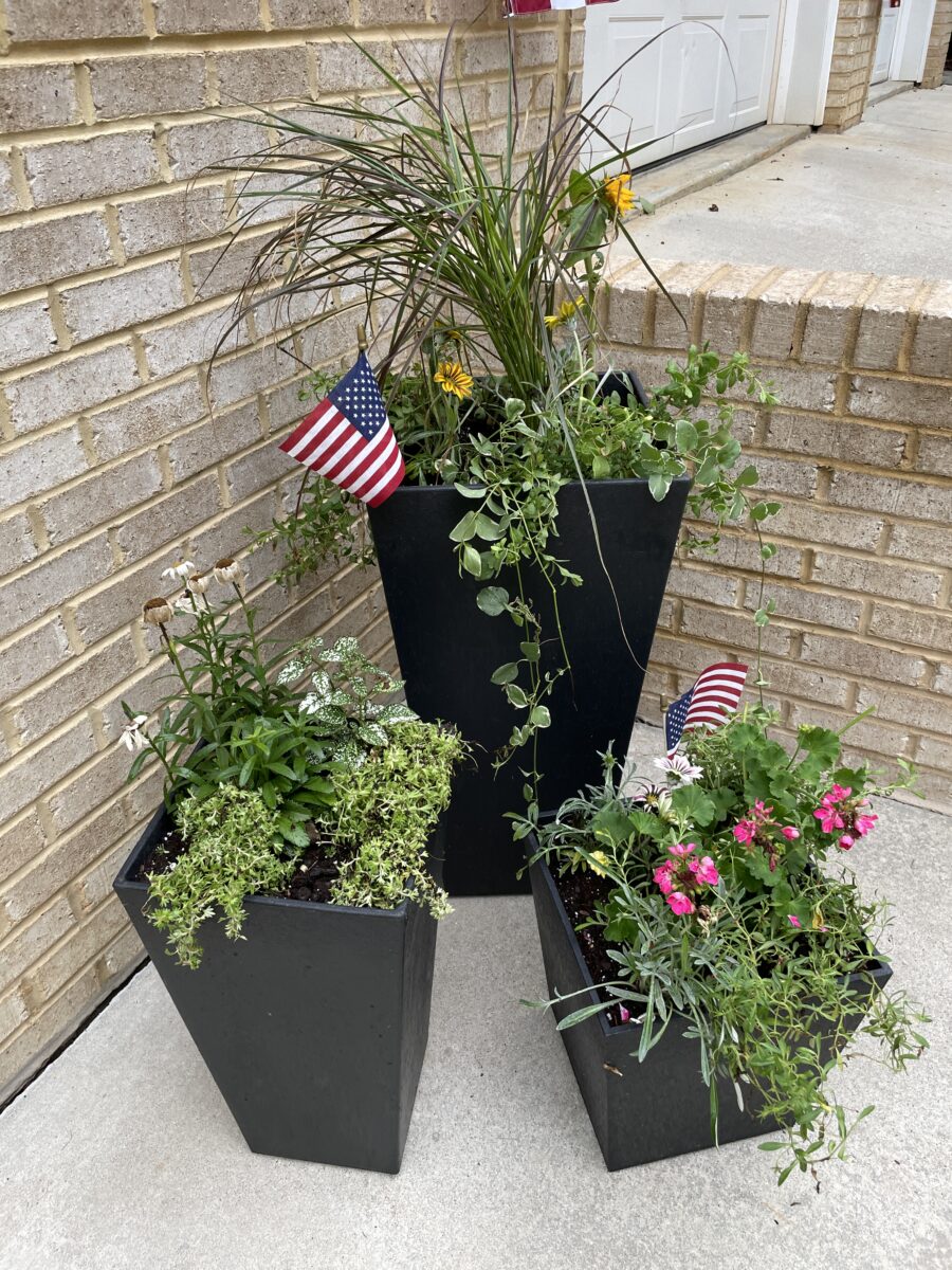 how-to-fill-large-planters-kippi-at-home